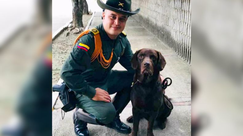 El perro héroe que sirvió por siete años en la Policía El perro héroe que sirvió por siete años en la Policía