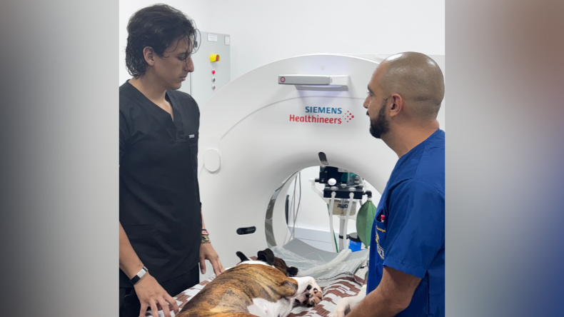 Hospital Veterinario de la UT se consolida como referente internacional Hospital Veterinario de la UT se consolida como referente internacional