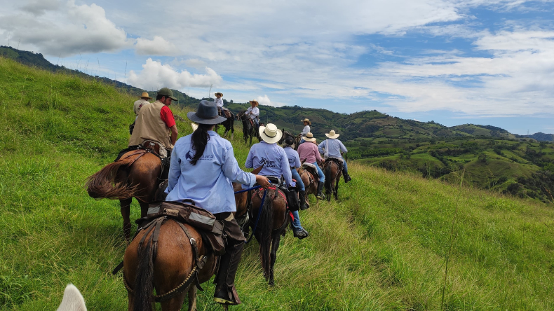 Muleros del Tolima impulsan la cultura y el turismo rural con cabalgatas ecológicas Muleros del Tolima impulsan la cultura y el turismo rural con cabalgatas ecológicas