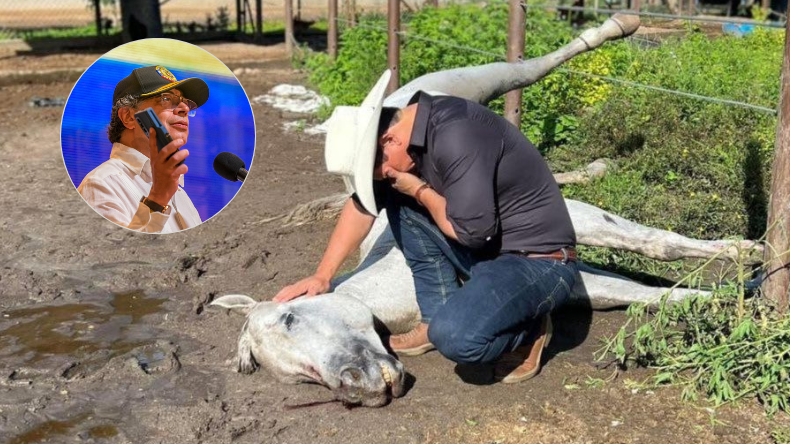 Petro ataca a senador Barrera con la muerte de su caballo en un trino a medianoche Petro ataca a senador Barrera con la muerte de su caballo en un trino a medianoche