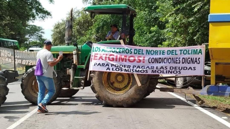 No negociamos con intermediarios: arroceros No negociamos con intermediarios: arroceros