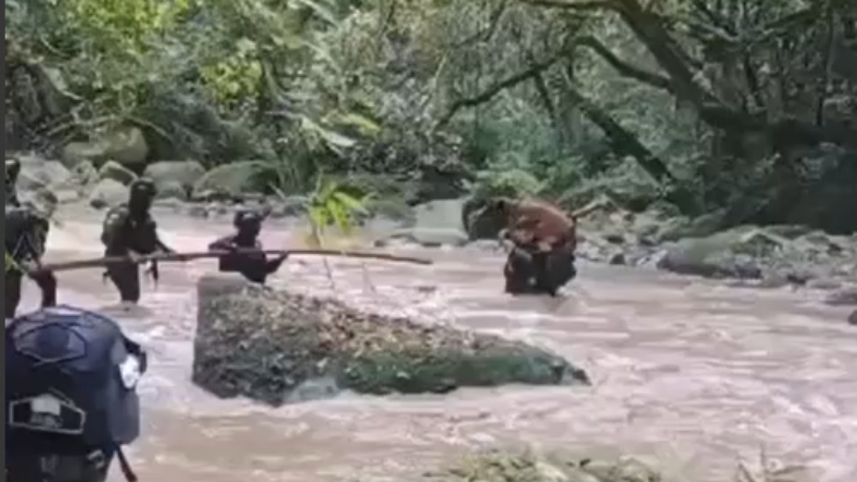 Perro antiexplosivos fue salvado en creciente del río Coello Perro antiexplosivos fue salvado en creciente del río Coello