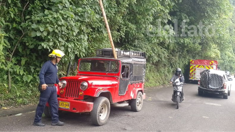 Guadua cayó sobre un hombre que conducía un campero en Ibagué Guadua cayó sobre un hombre que conducía un campero en Ibagué