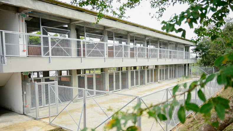 Proponen convertir al CAPA en un Instituto descentralizado para mejorar la atención de animales Proponen convertir al CAPA en un Instituto descentralizado para mejorar la atención de animales