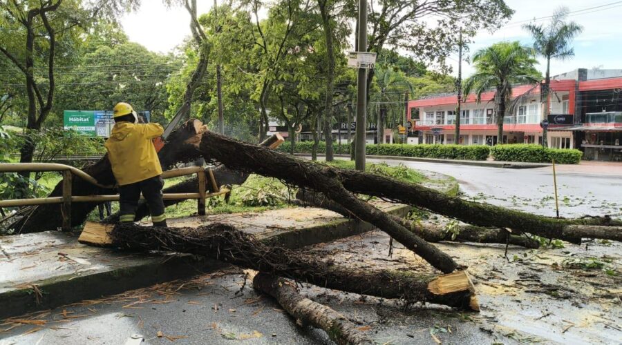 Aguacero mostró lo poco preparada que está Ibagué para enfrentar emergencias Aguacero mostró lo poco preparada que está Ibagué para enfrentar emergencias