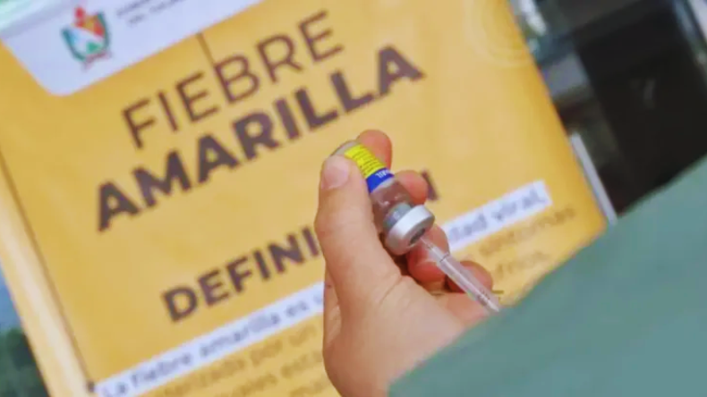 ¡Ojo! No podrá ingresar a la Alcaldía de Ibagué si no se ha vacunado contra la fiebre amarilla ¡Ojo! No podrá ingresar a la Alcaldía de Ibagué si no se ha vacunado contra la fiebre amarilla