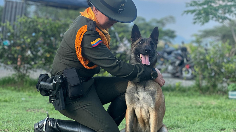 Hestia, la nueva aliada antinarcóticos que refuerza a la Policía del Tolima Hestia, la nueva aliada antinarcóticos que refuerza a la Policía del Tolima