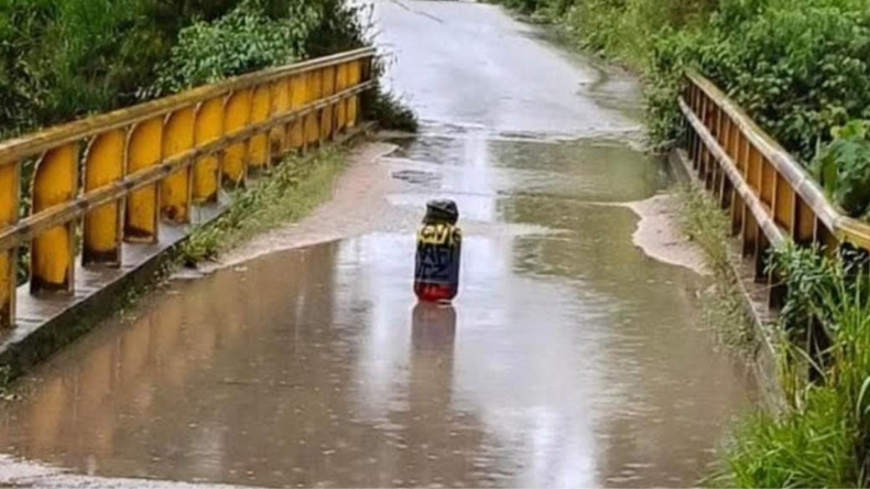 Piden colaboración ciudadana tras recientes hechos de violencia en el Tolima Piden colaboración ciudadana tras recientes hechos de violencia en el Tolima
