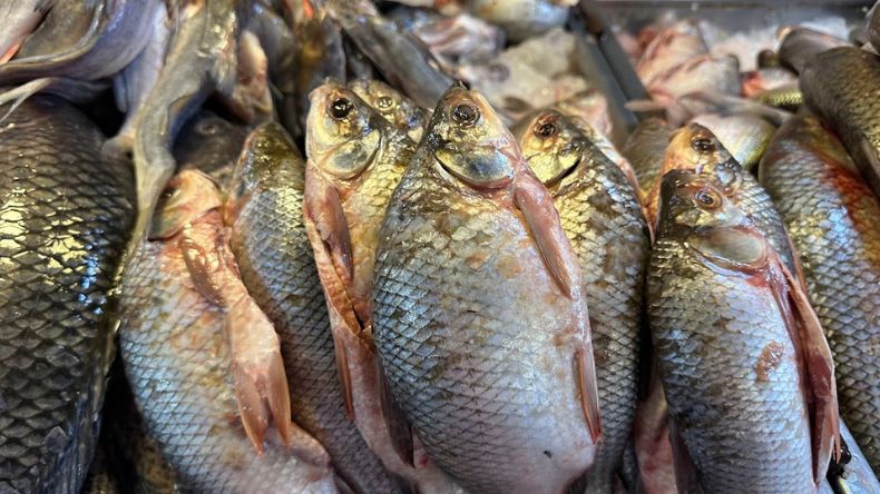 Cómo elegir buen pescado y evitar intoxicaciones en Semana Santa Cómo elegir buen pescado y evitar intoxicaciones en Semana Santa