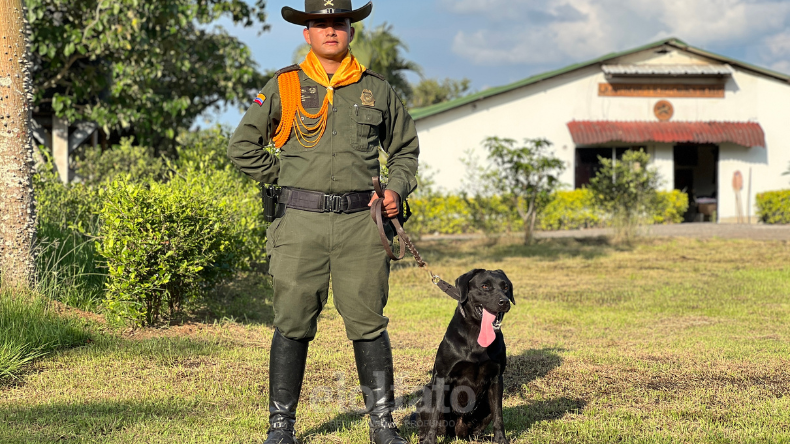 Perros antinarcóticos