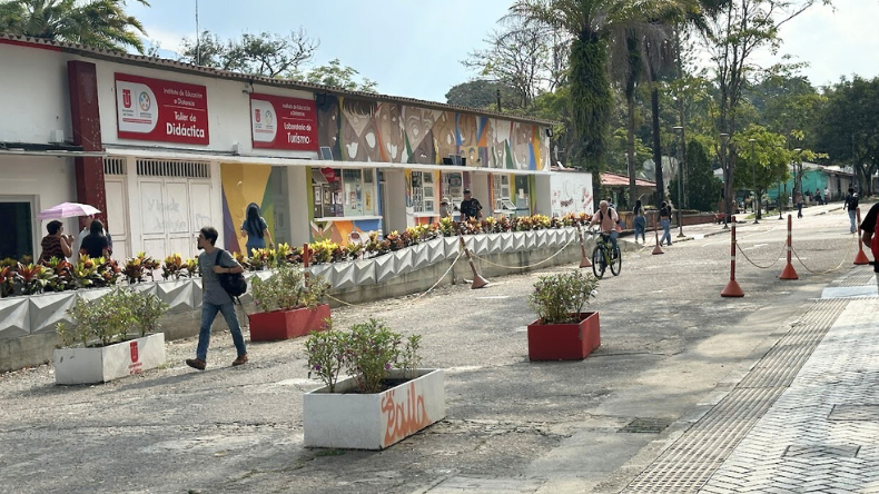 Tribunal declara improcedente tutela de docente contra la Universidad del Tolima