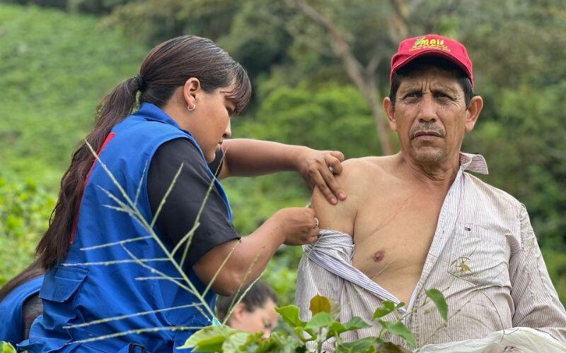 Van 22 muertos por fiebre amarilla en cinco municipios del Tolima: urge vacunarse