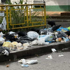 Nuevamente las calles del barrio Jordán amanecieron llenas de basura y con malos olores Nuevamente las calles del barrio Jordán amanecieron llenas de basura y con malos olores