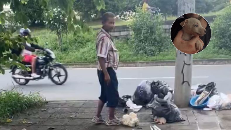 Joven en Cali rescató a un cachorro que era maltratado por un hombre