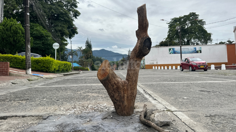 Con un tronco, habitantes del Claret tapan hueco ante inacción de la Alcaldía de Ibagué
