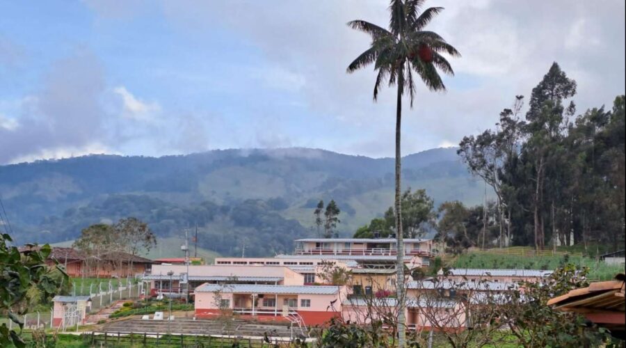 Formulan cargos a exdocente de Roncesvalles por presunta relación con menor de 14 años Formulan cargos a exdocente de Roncesvalles por presunta relación con menor de 14 años