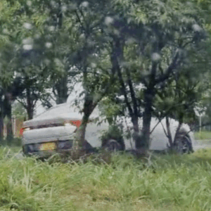Los carros también se cruzan el separador en la Arboleda del Campestre Los carros también se cruzan el separador en la Arboleda del Campestre
