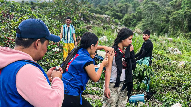 El cambio climático posibilitó la expansión de la fiebre amarilla en zonas del Tolima que no tenían la enfermedad El cambio climático posibilitó la expansión de la fiebre amarilla en zonas del Tolima que no tenían la enfermedad