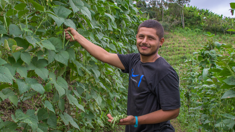 Sena tiene más de $274 mil millones para impulsar proyectos productivos campesinos Sena tiene más de $274 mil millones para impulsar proyectos productivos campesinos