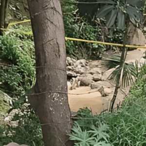 Consternación en Ibagué: hallan el cuerpo de un bebé en una quebrada del barrio La Esperanza Consternación en Ibagué: hallan el cuerpo de un bebé en una quebrada del barrio La Esperanza