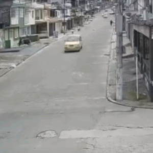Taxista atropelló a perrita en el barrio Calarcá y huyó del lugar