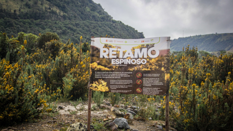 Anuncian millonaria inversión para proteger el páramo en Murillo Anuncian millonaria inversión para proteger el páramo en Murillo