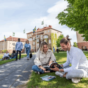 ¿Quiere estudiar en Suecia? Hay becas del 60 % para profesionales