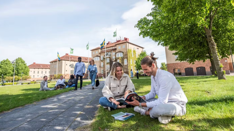 ¿Quiere estudiar en Suecia? Hay becas del 60 % para profesionales