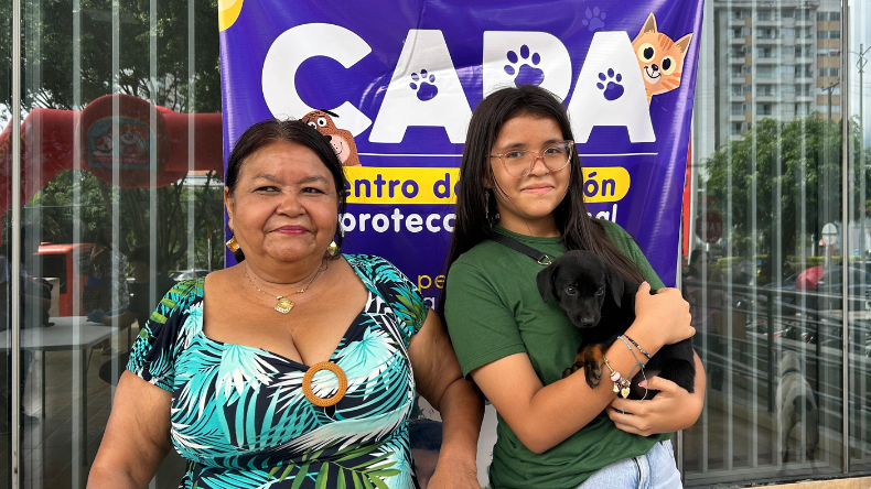 Ibagué tendrá jornada de adopción y atención veterinaria para mascotas este viernes Ibagué tendrá jornada de adopción y atención veterinaria para mascotas este viernes