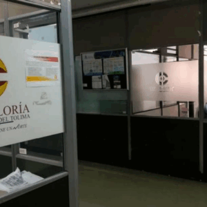 Detectaron irregularidades fiscales por más de $500 millones en Alcaldías de Saldaña y Venadillo Detectaron irregularidades fiscales por más de $500 millones en Alcaldías de Saldaña y Venadillo