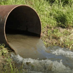 Consejo de Estado ordena intervención urgente en Piedras por crisis ambiental