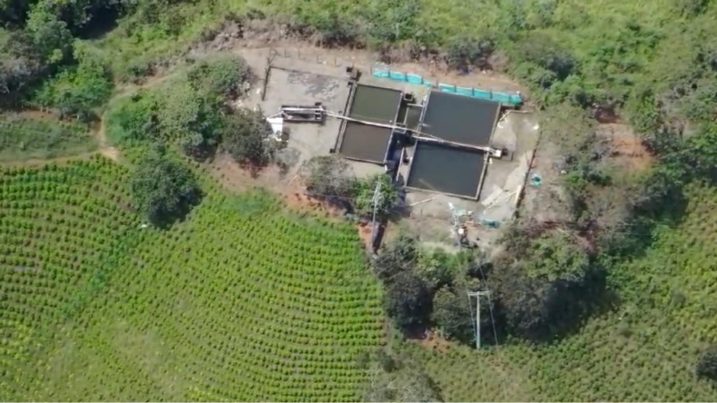 Colombia concentra la mayor parte de cultivos de coca, según la oficina de Naciones Unidas Colombia concentra la mayor parte de cultivos de coca, según la oficina de Naciones Unidas