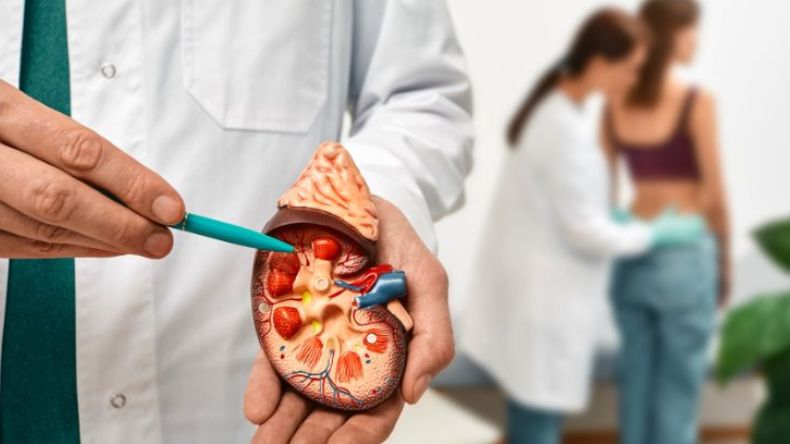 Detecte a tiempo las enfermedades renales: podrían avanzar sin dar señales Detecte a tiempo las enfermedades renales: podrían avanzar sin dar señales