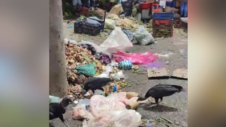 Denuncian abandono y acumulación de basura en la Plaza de la 21 Denuncian abandono y acumulación de basura en la Plaza de la 21