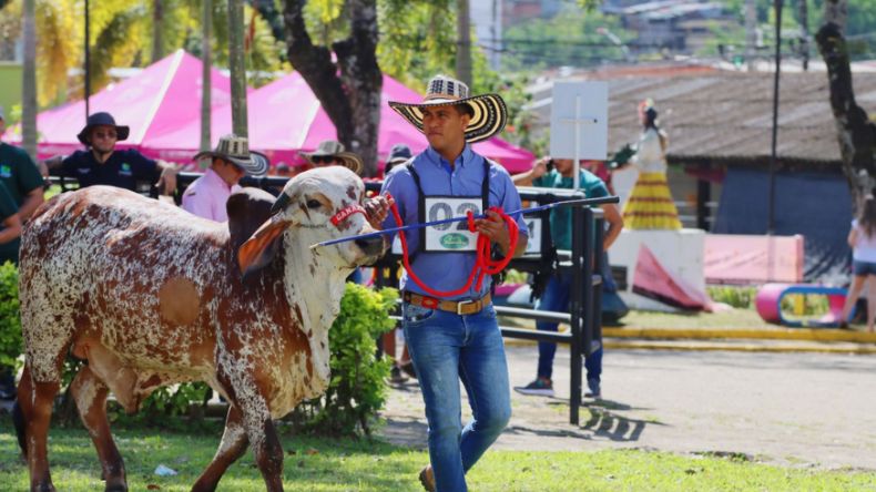 Campo, cultura y música: así será la Feria Agropecuaria en Ibagué Campo, cultura y música: así será la Feria Agropecuaria en Ibagué