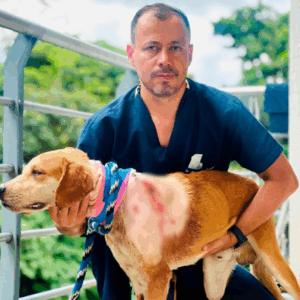 ‘Tonto’: el perrito que sobrevivió a una grave herida gracias al Hospital Veterinario de la UT ‘Tonto’: el perrito que sobrevivió a una grave herida gracias al Hospital Veterinario de la UT