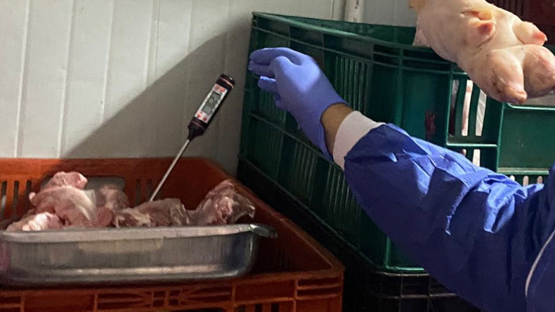 Incautaron más de 160 kilos de carne en mal estado en una plaza de mercado de Ibagué Incautaron más de 160 kilos de carne en mal estado en una plaza de mercado de Ibagué