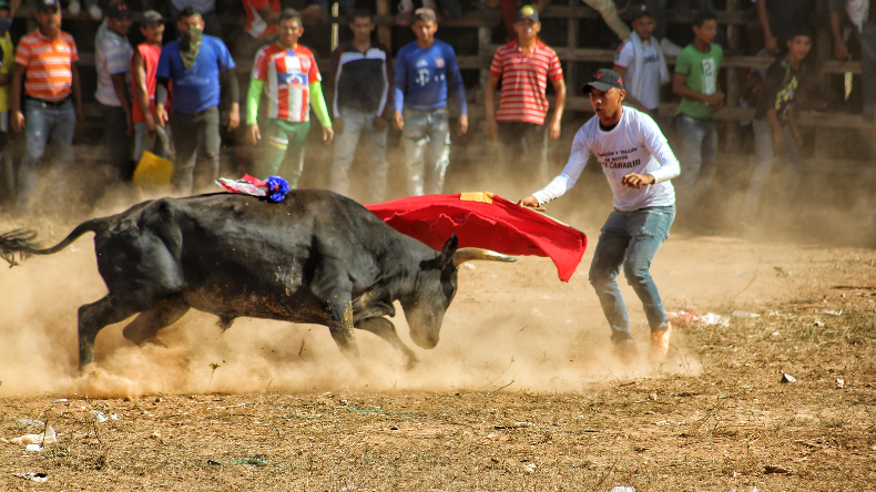 Autorizan corraleja y cabalgata en El Espinal