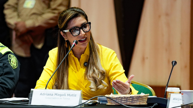 Gobernadora presentó balance de seguridad: 49 estructuras criminales desarticuladas Gobernadora presentó balance de seguridad: 49 estructuras criminales desarticuladas
