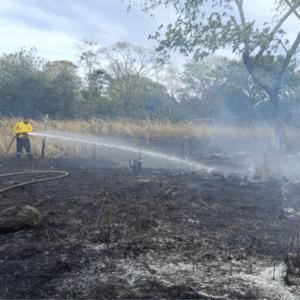 Alerta roja en 28 municipios del Tolima y 11 en alerta naranja por riesgo de incendios