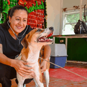 Tras denuncias, el CAPA de Ibagué mejoró registros de seguimiento a animales Tras denuncias, el CAPA de Ibagué mejoró registros de seguimiento a animales