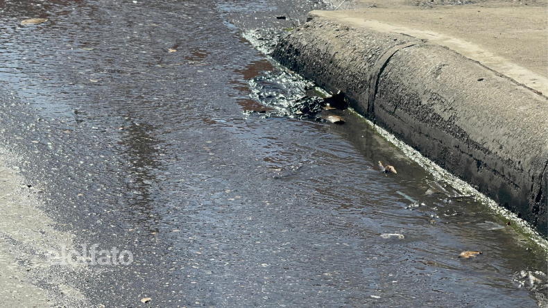 Fuga de agua (1)