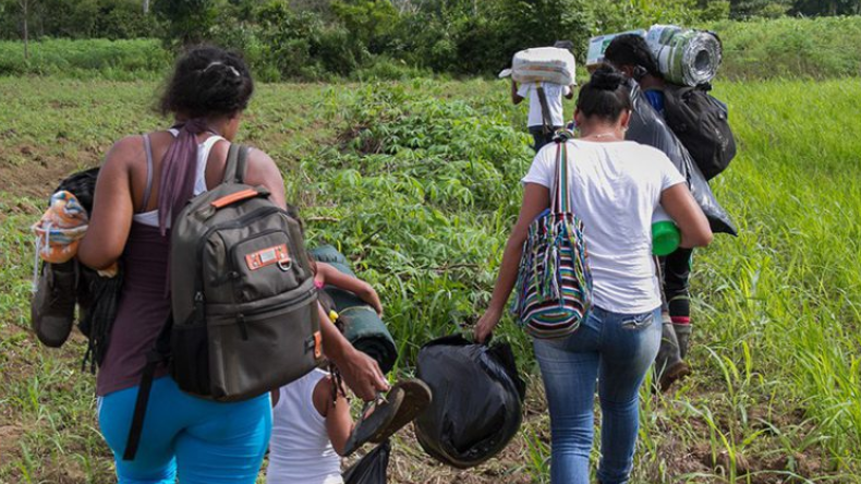 Defensoría del Pueblo alerta grave crisis humanitaria en Guaviare Defensoría del Pueblo alerta grave crisis humanitaria en Guaviare