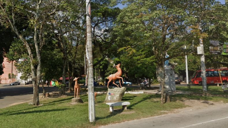 Denuncian inacción policial tras brutal ataque a joven en intento de hurto Denuncian inacción policial tras brutal ataque a joven en intento de hurto