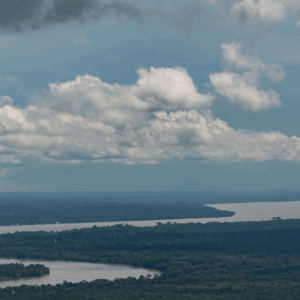 Científicos alertan que el río Amazonas dejaría de pasar por Colombia en 2030 Científicos alertan que el río Amazonas dejaría de pasar por Colombia en 2030