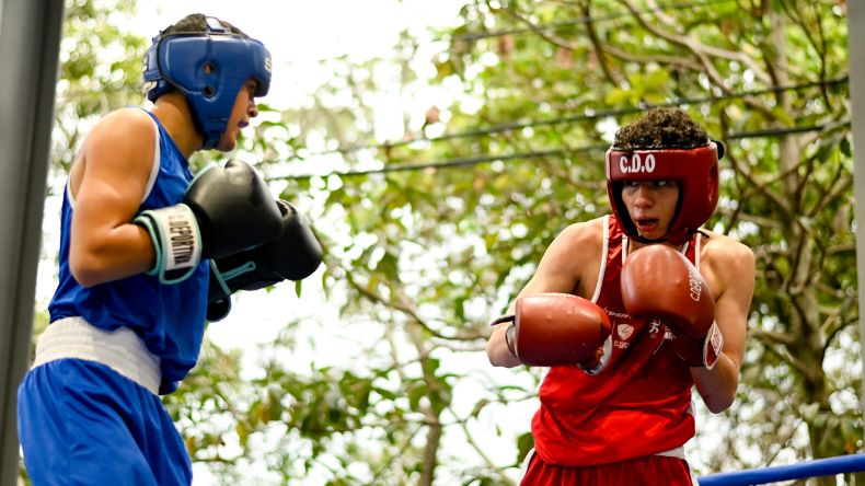 Copa América de Boxeo arranca este sábado en Ibagué Copa América de Boxeo arranca este sábado en Ibagué