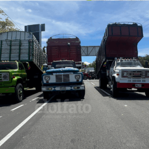 Paro arrocero en el Tolima: crisis vial, alimentos represados y Gobierno en silencio