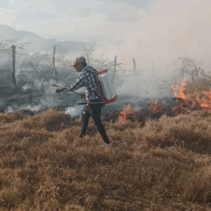 Más de 165 hectáreas han sido arrasadas por incendios en el Tolima durante julio