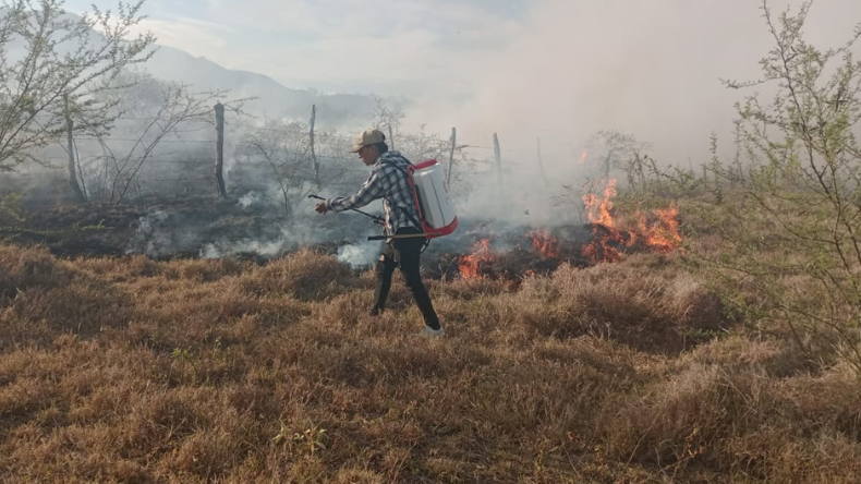 Más de 165 hectáreas han sido arrasadas por incendios en el Tolima durante julio Más de 165 hectáreas han sido arrasadas por incendios en el Tolima durante julio