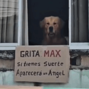 Una mujer dijo en voz alta “Max” y esto pasó